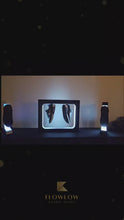 Load and play video in Gallery viewer, Flowlow - Levitating Shoe Display: Elevate Your Footwear Showcase
